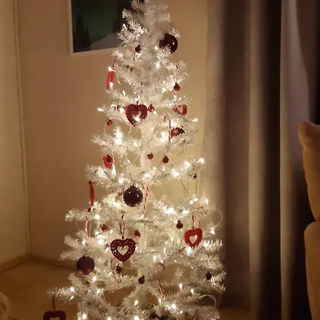 Santa's Neighbour's House